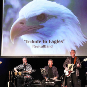 LIVE MUSIK & Helstegt pattegris